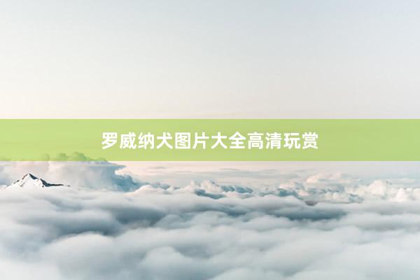 罗威纳犬图片大全高清玩赏